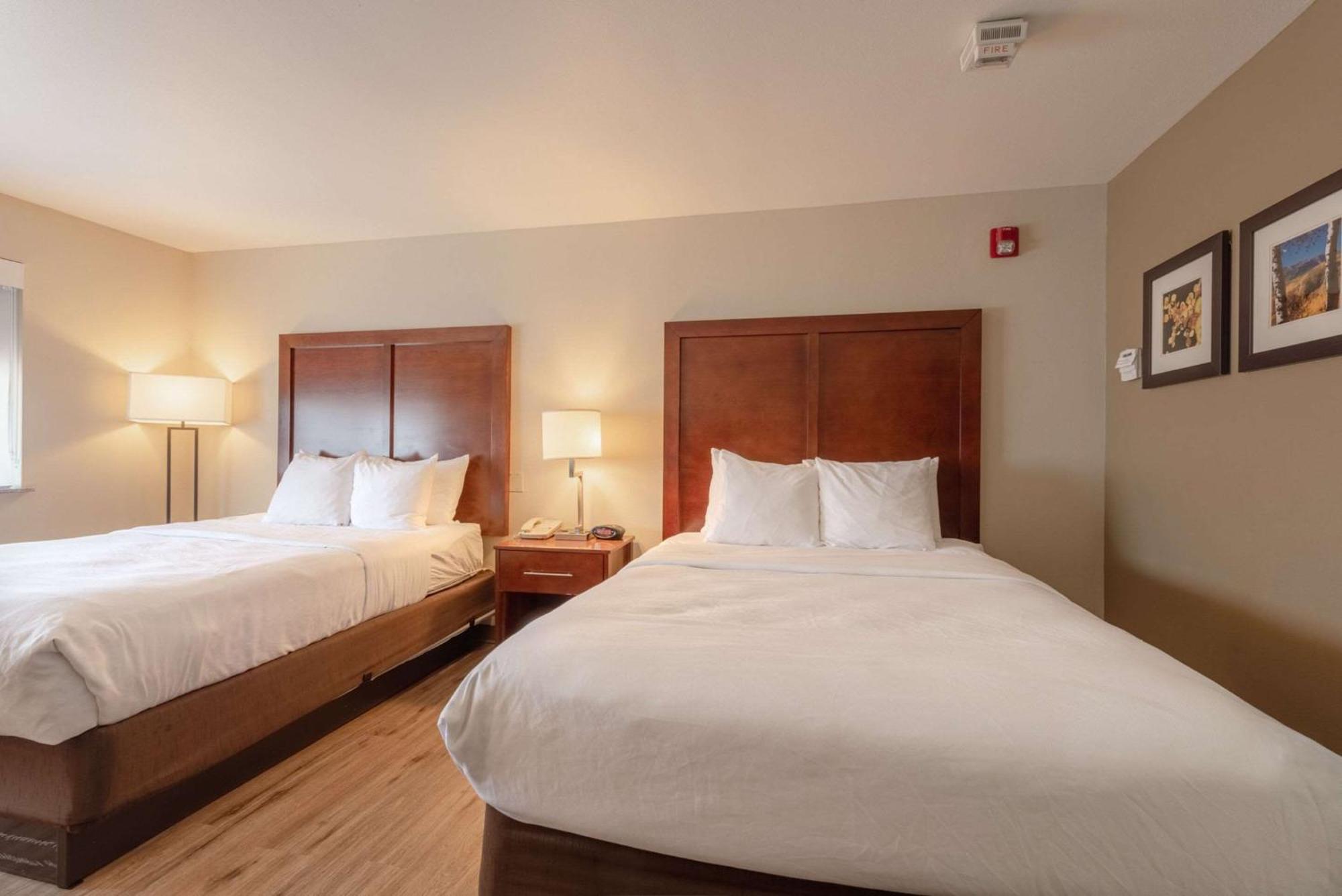 Comfort Inn & Suites Alamosa Buitenkant foto